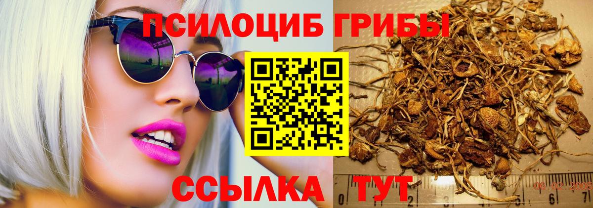 Галлюциногенные грибы ЛСД Гулькевичи